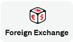 Foreign Exchange